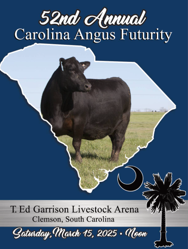 25 futurity flyer